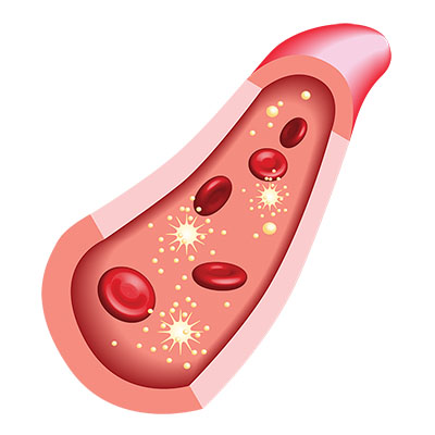 lipotropic adjunct factors