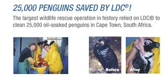 penguins