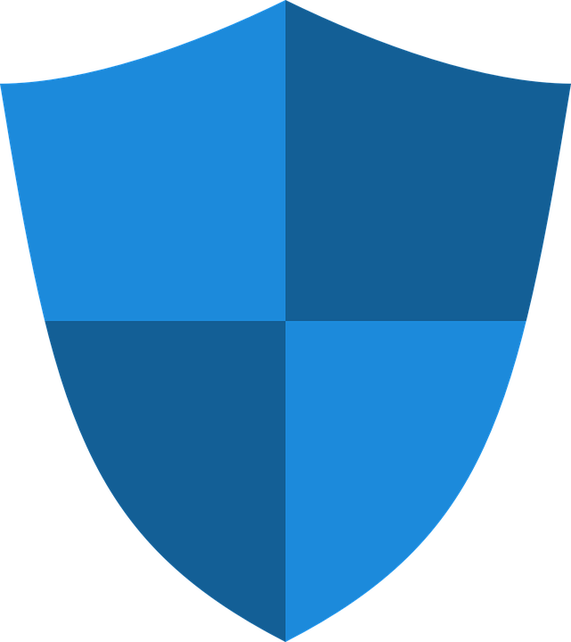 privacy shield